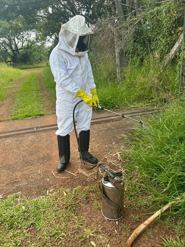 Imagem ilustrativa de Controle de pombos