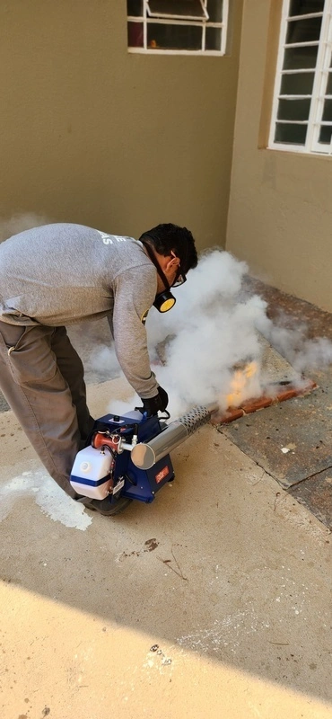 Controle de pragas pombos